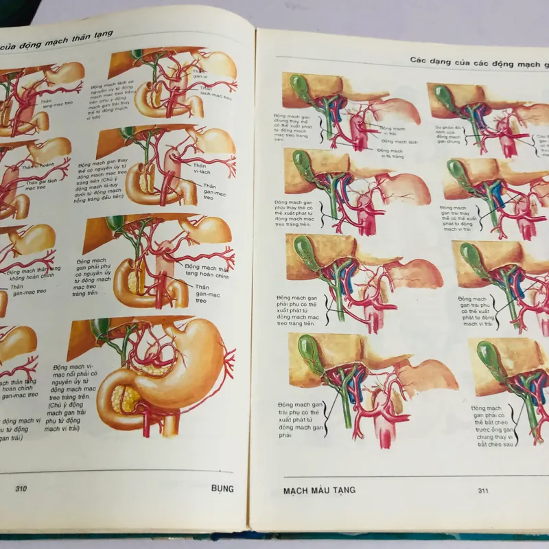 3. ATLAS GIẢI PHẪU NGƯỜI  565266