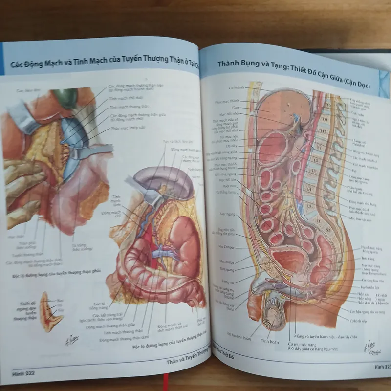 Atlas Giải Phẫu Người (Ấn Bản Lần Thứ 5) - Frank H. Netter, MD 570689