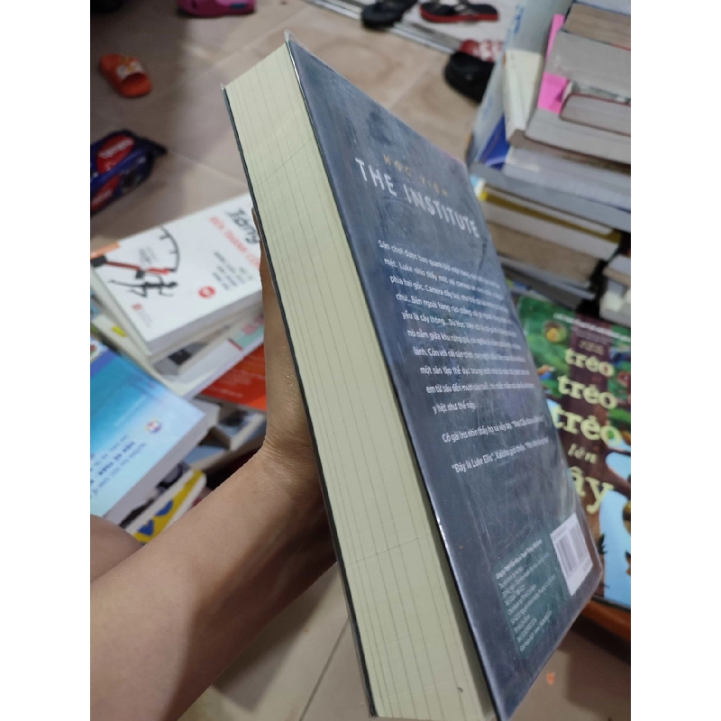 Học viện The instituteHCM01/03 910210