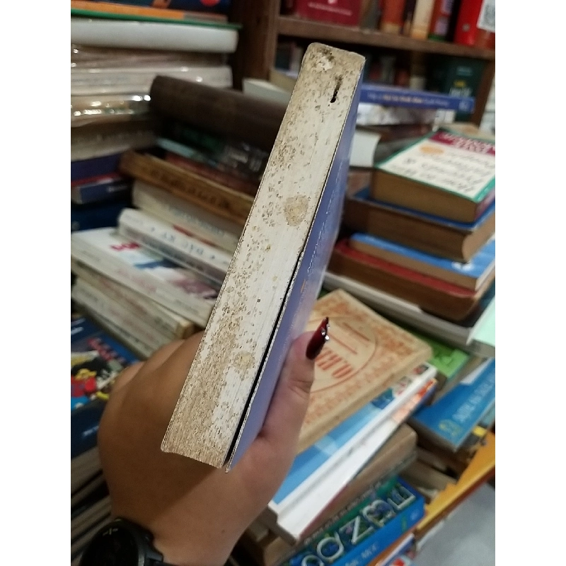 Thoại Ngọc Hầu & Những cuộc khai phá miền Hậu Giang 975235