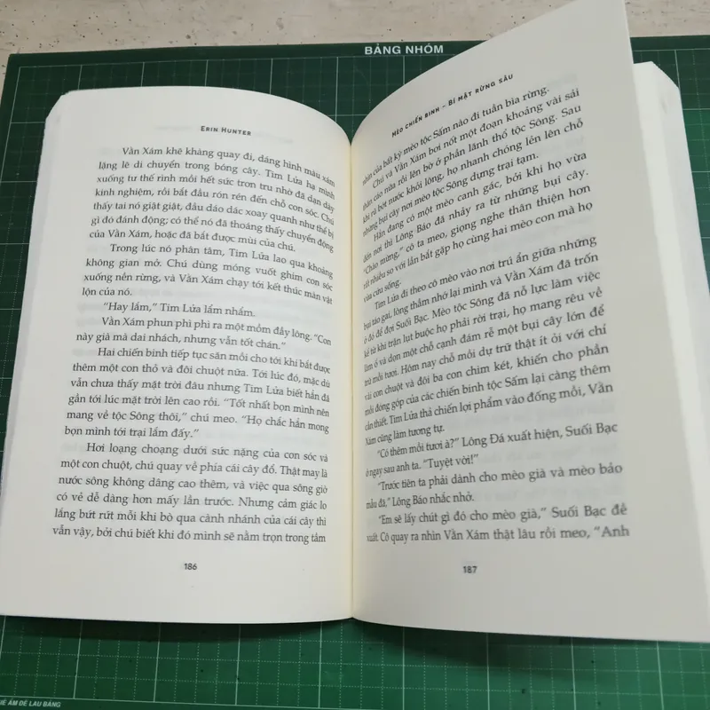 Mèo chiến binh - Erin Hunter 560283