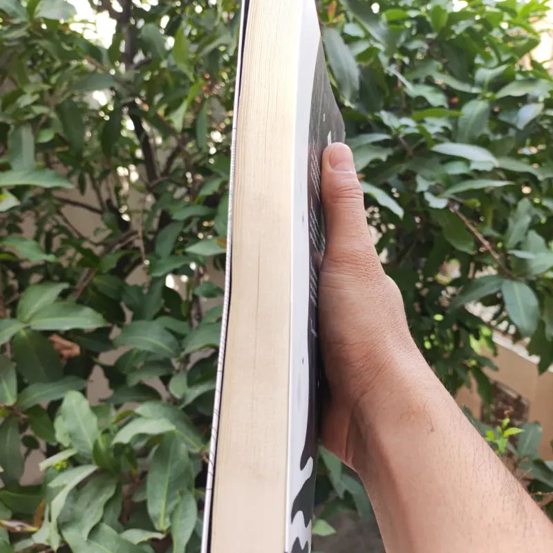 Thiên Tài Bên Trái, Kẻ Điên Bên Phải - Cao Minh 925340