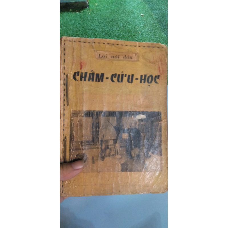 CHÂM CỨU HỌC - Thích Tâm Ấn  222772