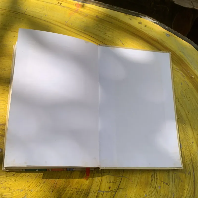 SAO KHUÊ LẤP LÁNH- SONG NGỮ VIỆT- PHÁP- NGUYỄN ĐỨC HIỀN  784246