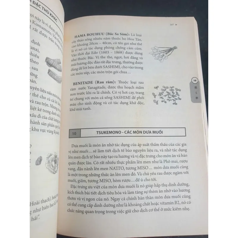 Chuyên Gia Bếp Nhật WASHOKU 747636