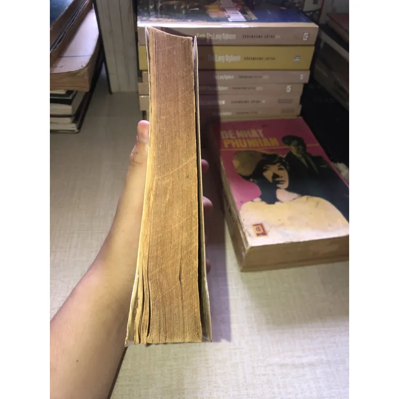 Bà BôVARY - Guyxtavo flobe 937472