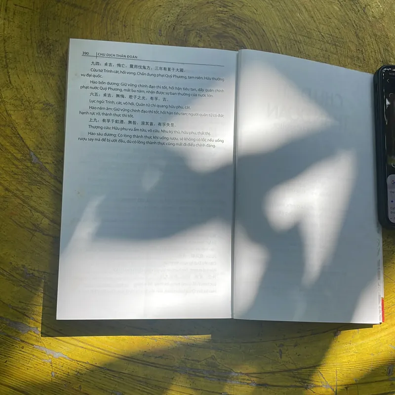 CHU DỊCH THẦN ĐOÁN- DỰ ĐOÁN NGHỀ NGHIỆP - GIA LINH 736033