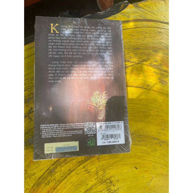 MÙI TRẦN - ĐỖ PHẤN 476924