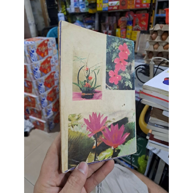 Thú Chơi Hoa Cảnh Non Bộ Xưa Và Nay - Phạm Kế - 1995 mới 80% ố - KỸ NĂNG - HCM3012 925051