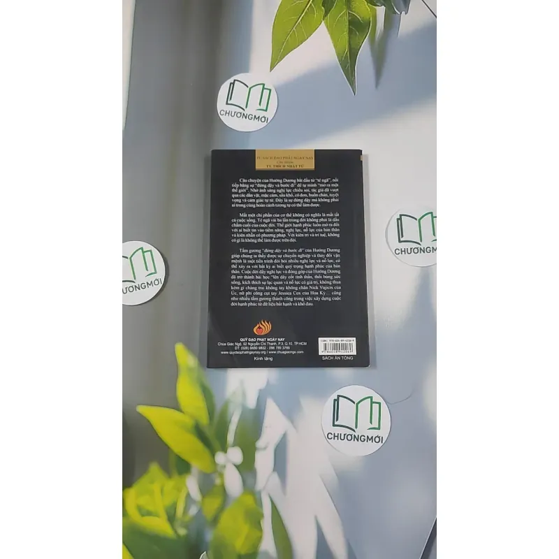 Đứng Dậy Và Bước Đi - Nguyễn Hướng Dương 798435