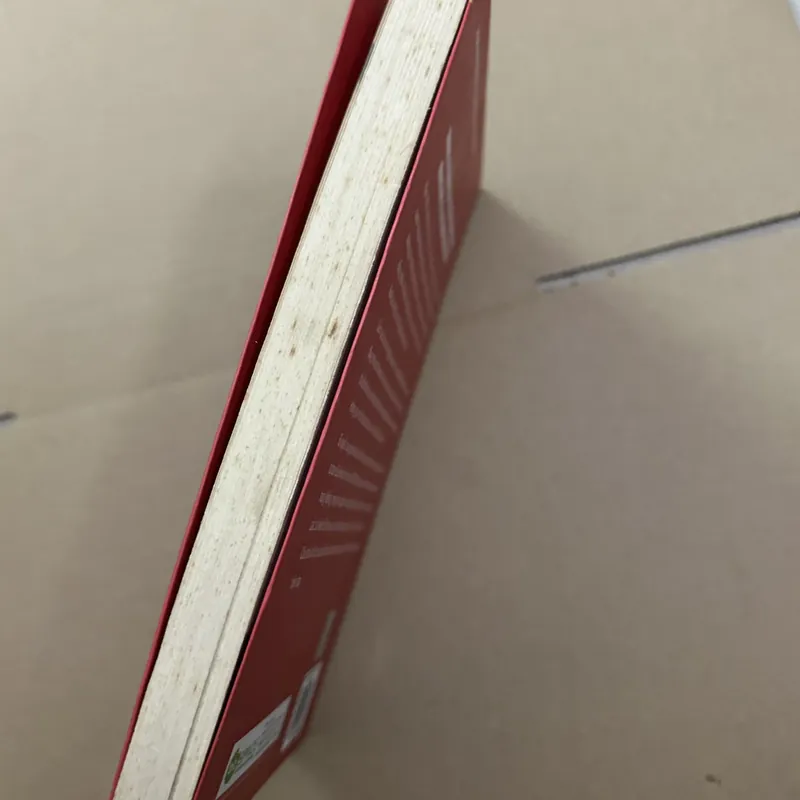 Câu chuyện thành công sau một đêm và làn sóng hàng không giá rẻ tại châu Á 569357