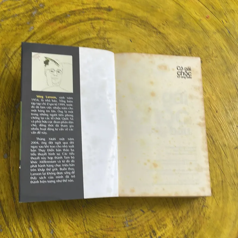 CÔ GÁI CHỌC TỔ ONG BẦU - STIEG LARSSON 736249