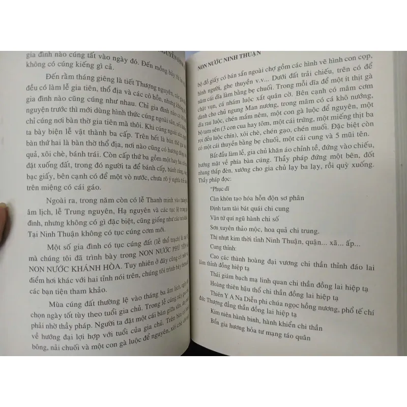 NON NƯỚC NINH THUẬN - NGUYỄN ĐÌNH TƯ 702867