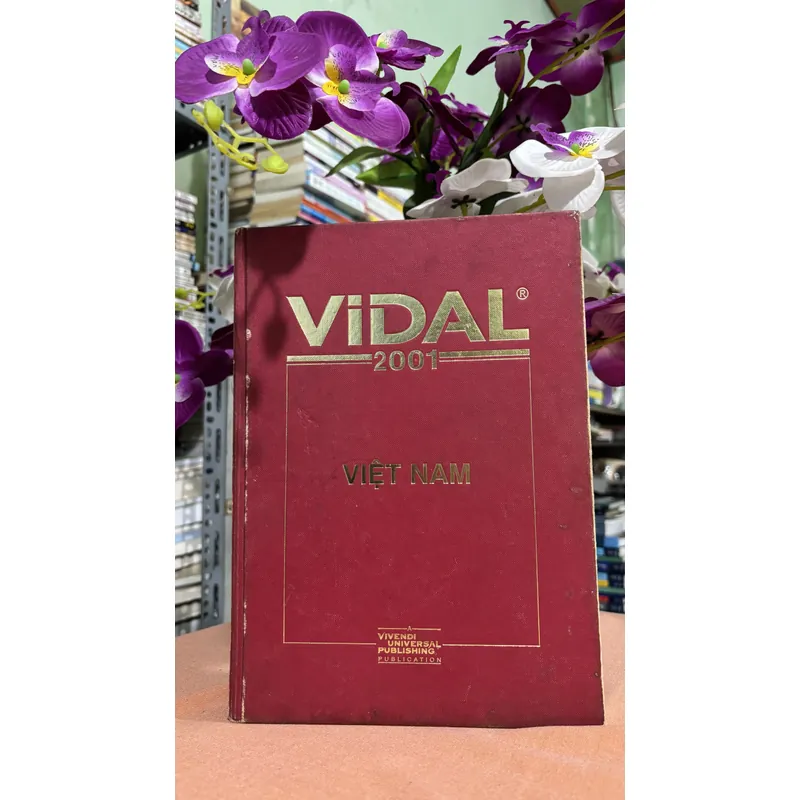 Vidal Việt Nam 2001 🌊 718555