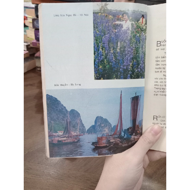 Du lịch 1990 517323