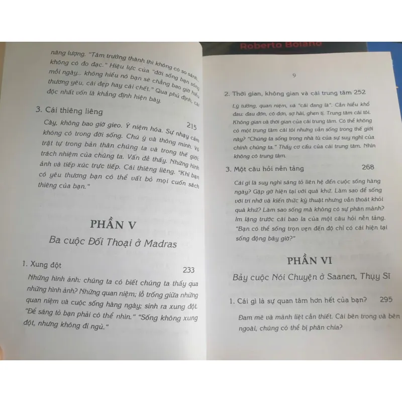 Đánh Thức Trí Thông Minh - Krishnamurti 718765