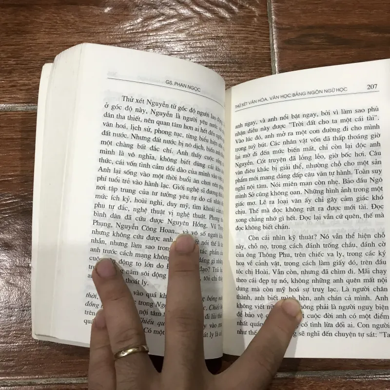 Thử xét Văn hoá, văn học bằng ngôn ngữ học - Phan Ngọc (6) 761148