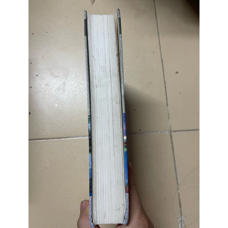 CÁC NƯỚC VÀ MỘT SỐ LÃNH THỔ TRÊN THẾ GIỚI TRƯỚC NGƯỠNG CỬA THẾ KỶ XXI  536351