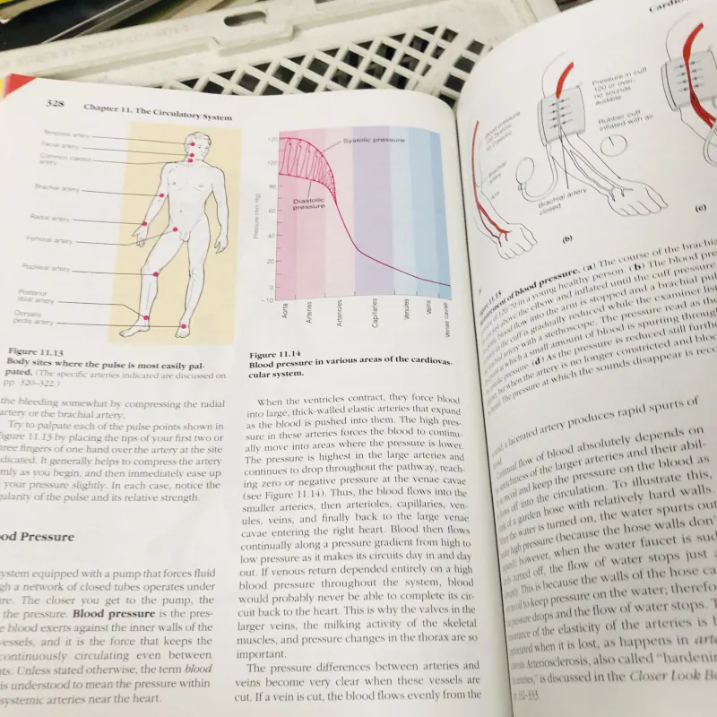 ESSENTIALS OF HUMAN ANATOMY & PHYSIOLOGY – Elaine N. Marieb (Fourth Edition) 799155