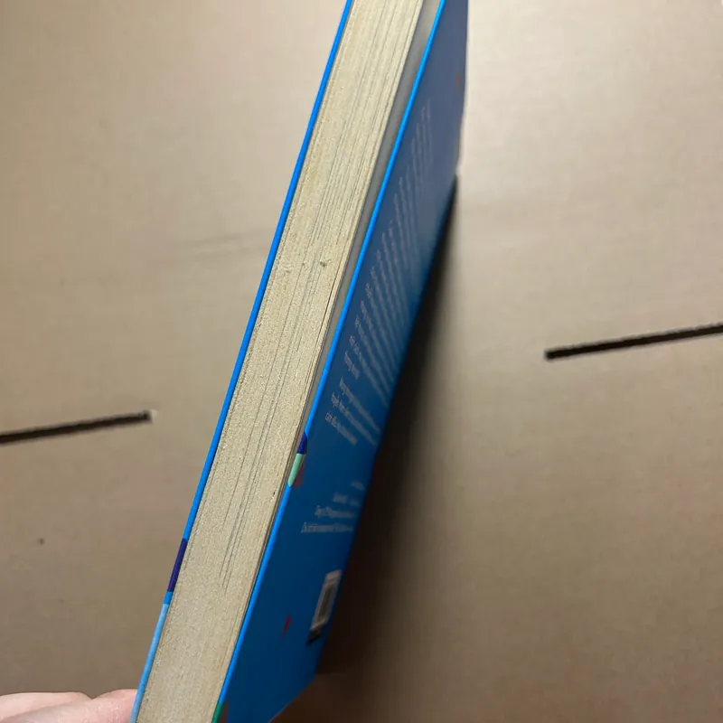 Người thả diều 571744