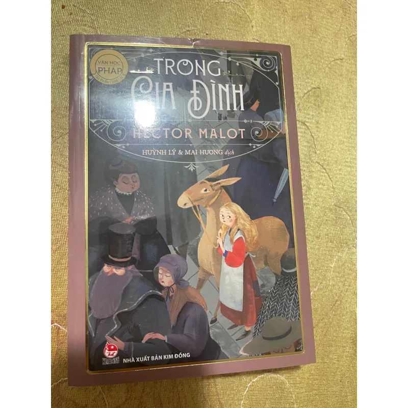 COMBO KHÔNG GIA ĐÌNH+TRONG GIA ĐÌNH- HECTOR MALOT 559426