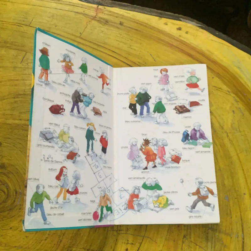 DICTIONNAIRE LE ROBERT  BENJAMIN CP-CE 6.8 ans & JUNIOR 8/11 ans  CE-CM ILLUSSTRE 747358