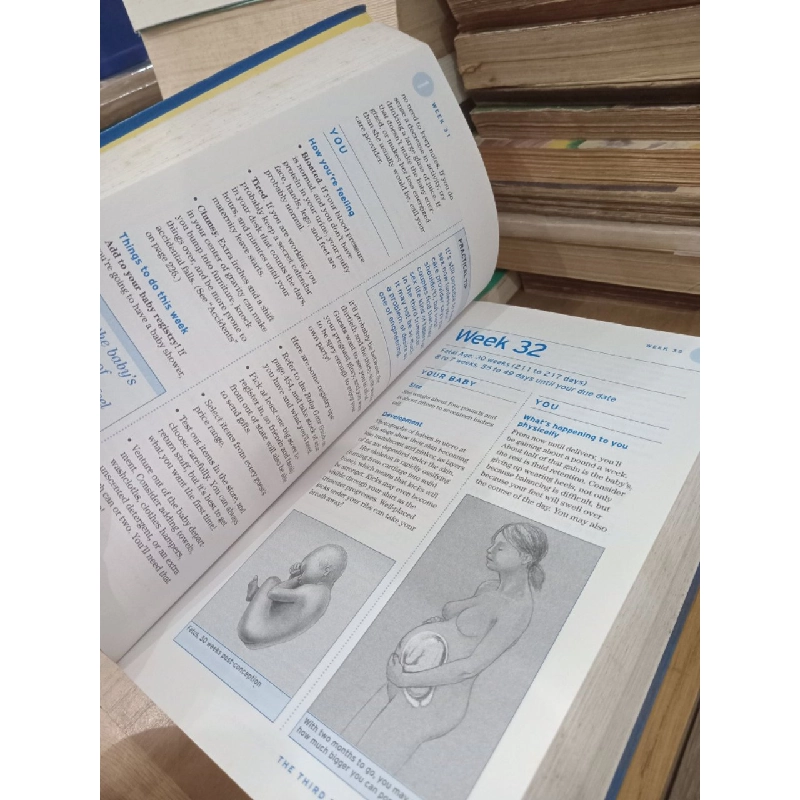 Great Expectations: Your all-in-one resource for pregnancy & childbirth - 1022655