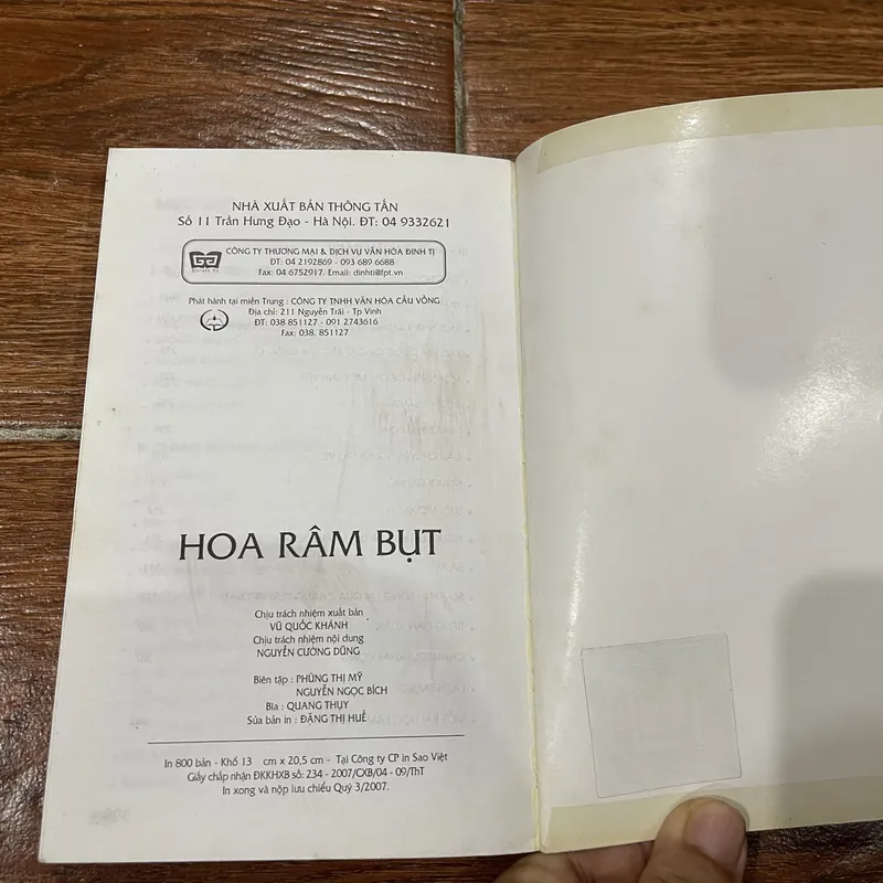 Hoa Râm Bụt - Sơn Tùng (8) 591396