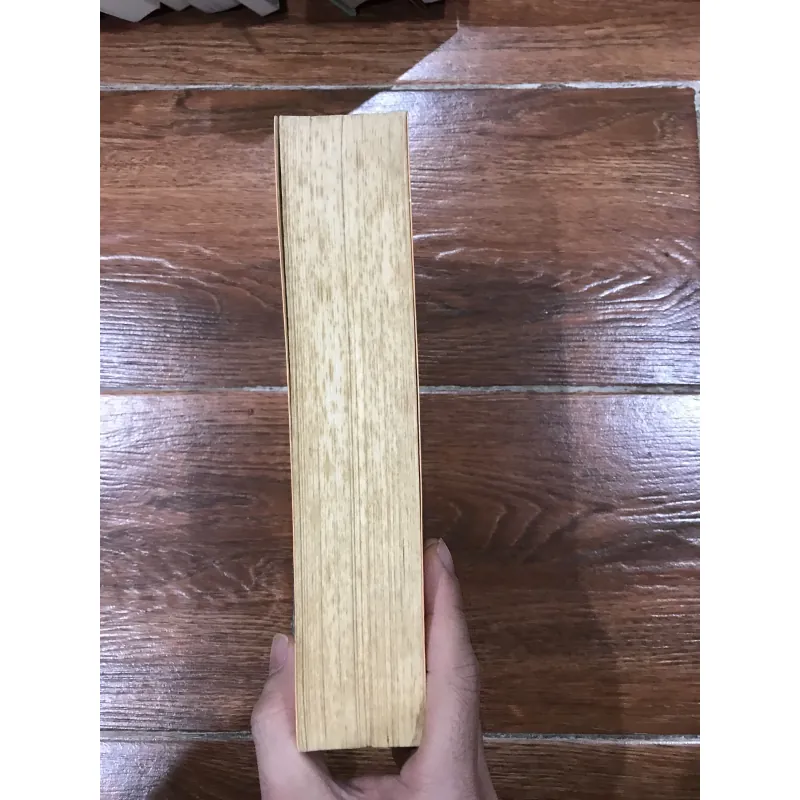 Mimesis - Phương thức biểu hiện thực tại trong văn học phương Tây  (t4) 782338