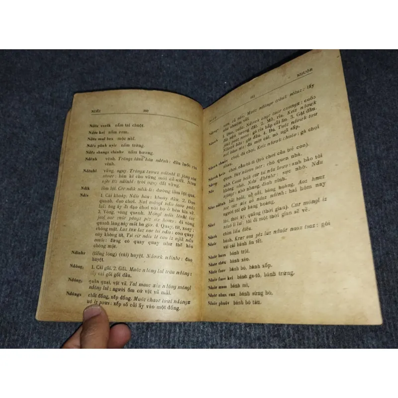 TỪ ĐIỂN MÈO - VIỆT 992515