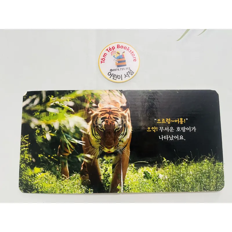 Set boardbook tranh ảnh động vật, thực vật chó bé B30 l 1043706