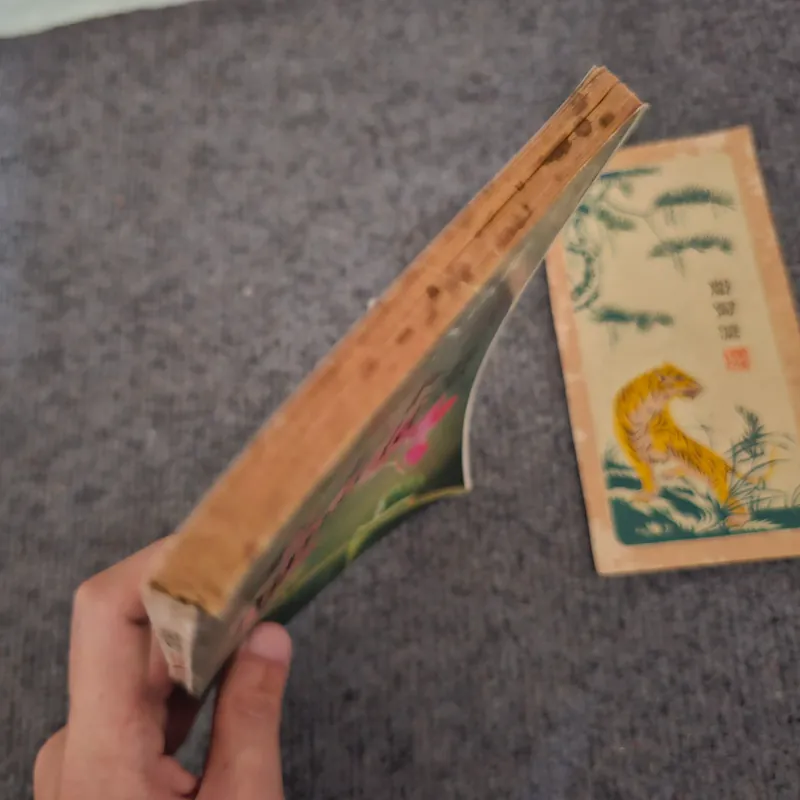 T.T.Kh nàng là ai? 736856