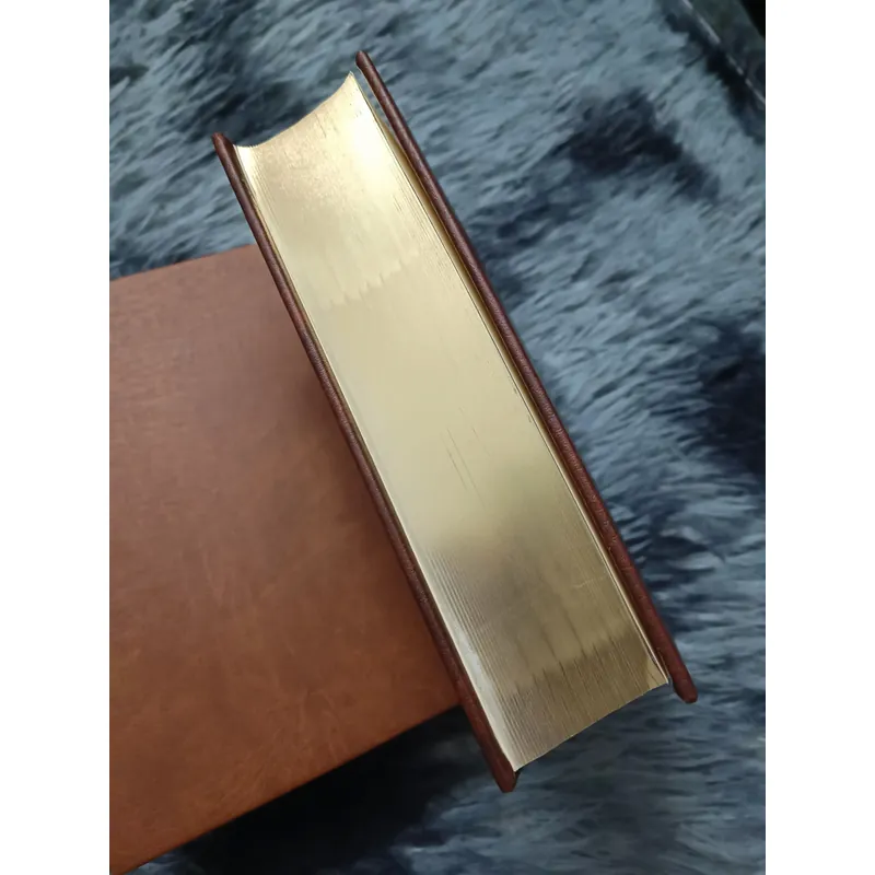 Các loài chim Việt Nam (Lê Mạnh Hùng) 736179