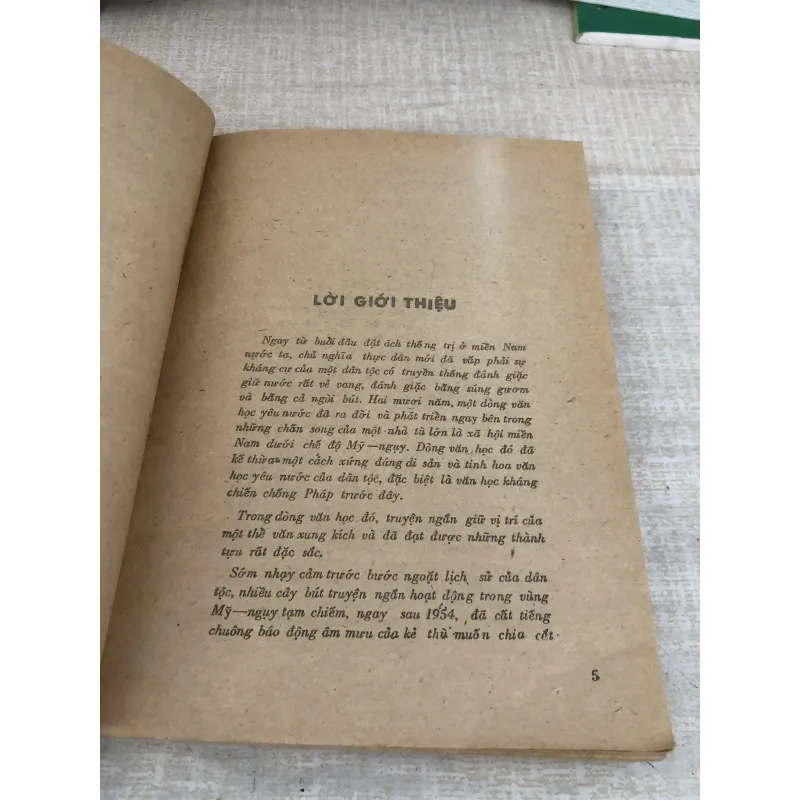 Mùa xuân chim én bay về 1009811