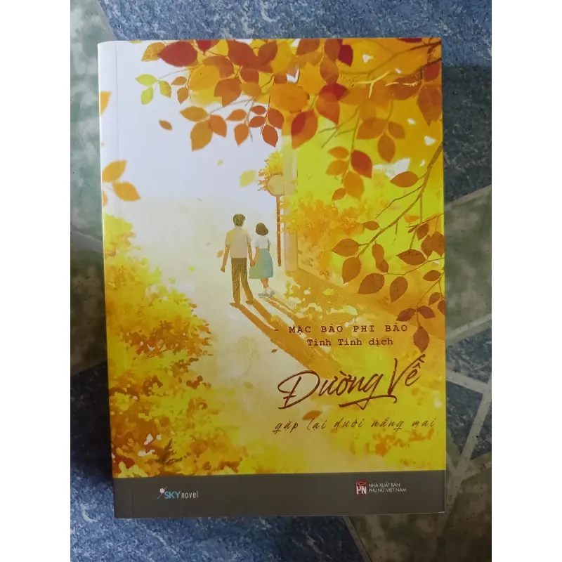 Đường về gặp lại dưới nắng mai - Mặc Bảo Phi Bảo 933570