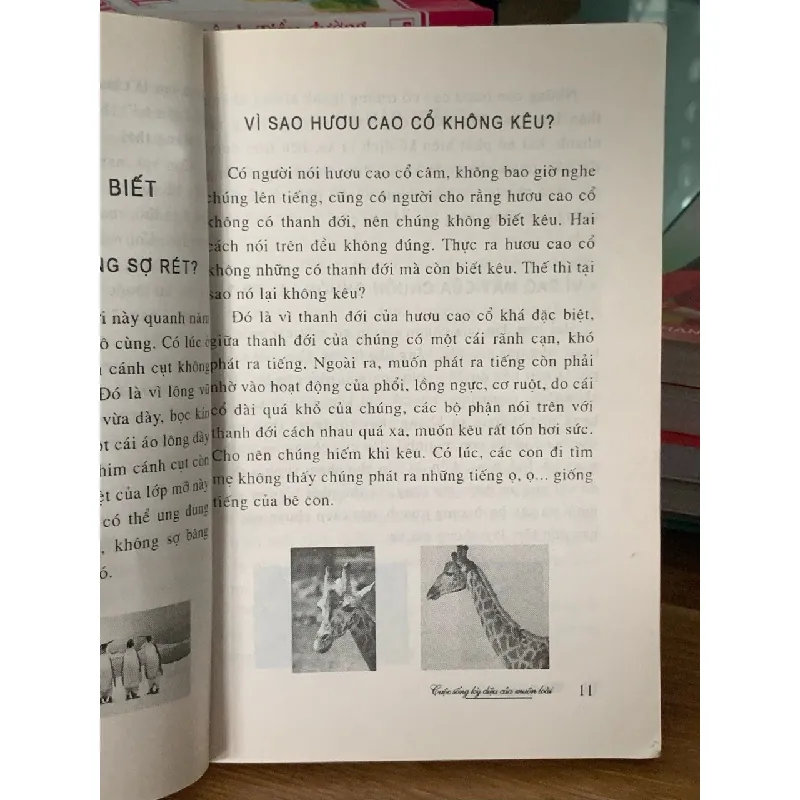 Cuộc sống kỳ diệu của muôn loài – (NXB Lao Động) 561290