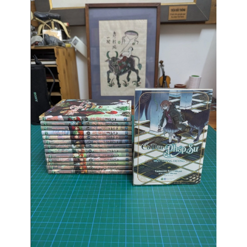 TRUYỆN TRANH CÔ DÂU PHÁP SƯ 366161