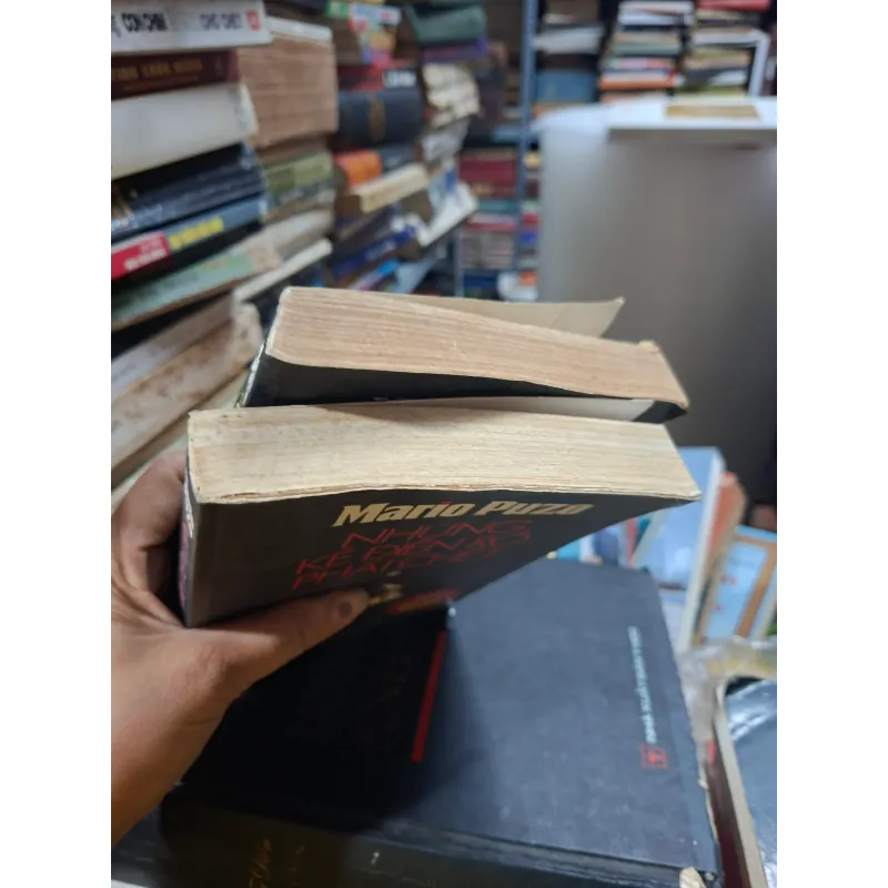 Những kẻ điên rồ phải chết, mario puzo 971345