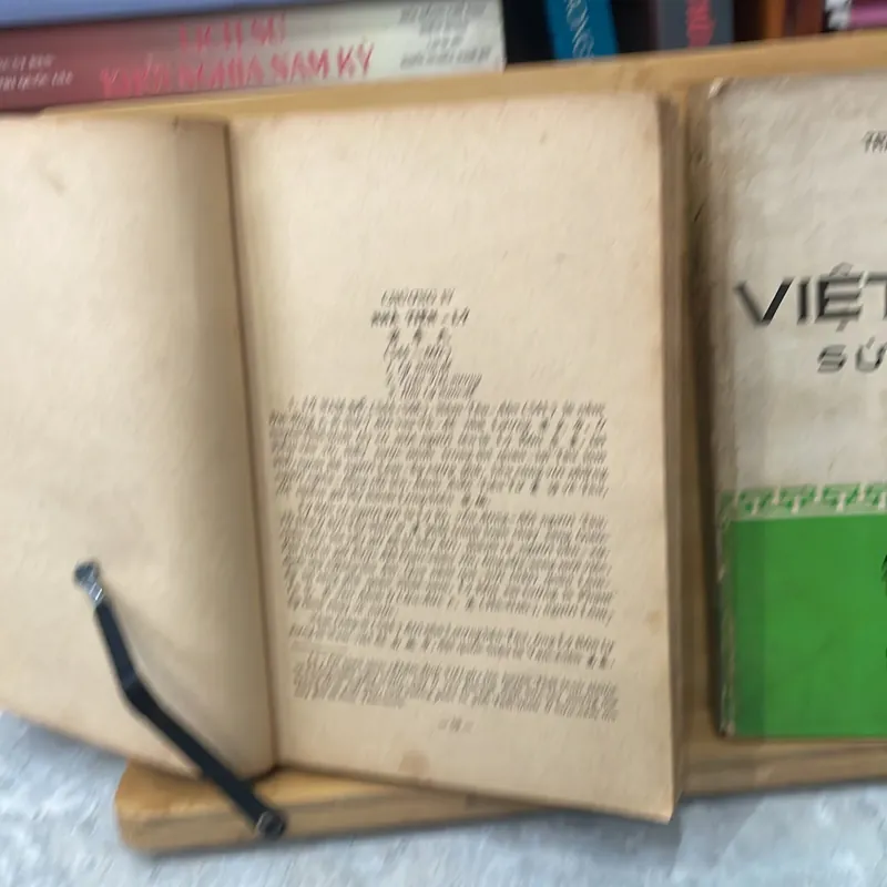 Việt Nam Sử Lược  604672