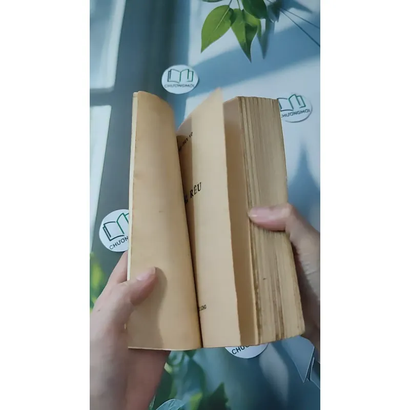 [MIỄN PHÍ BỌC SÁCH] [XƯA] [HIẾM] Khung Rêu (1990) - Nguyễn Thị Thụy Vũ 997646