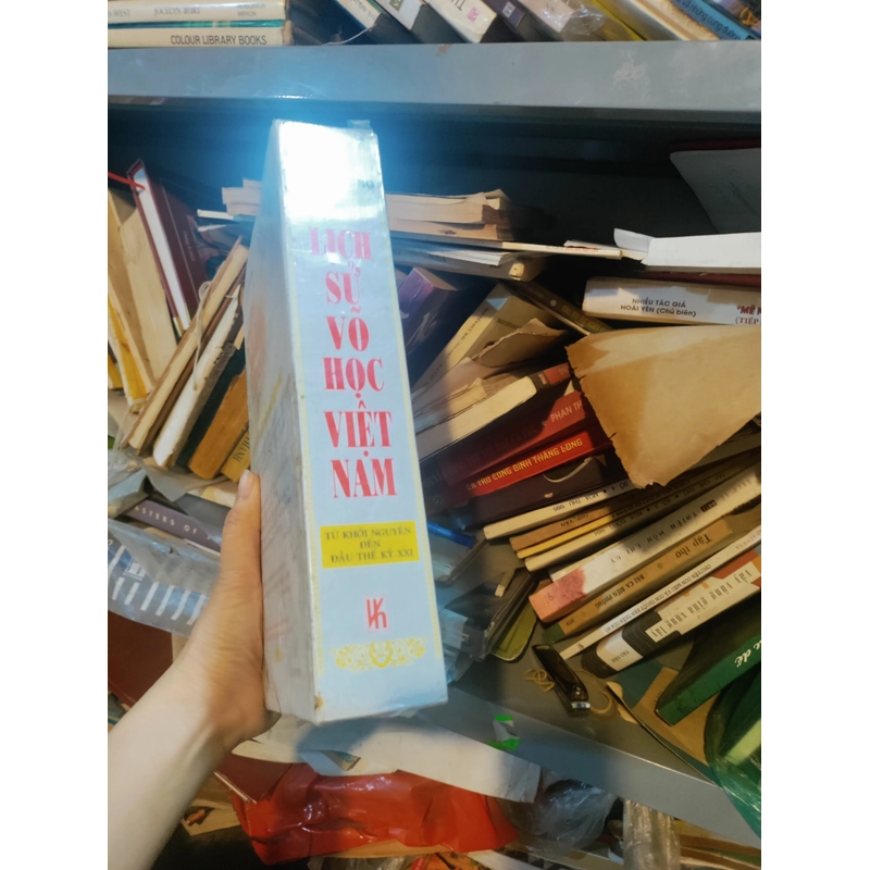 Lịch sử võ học Việt Nam 451671