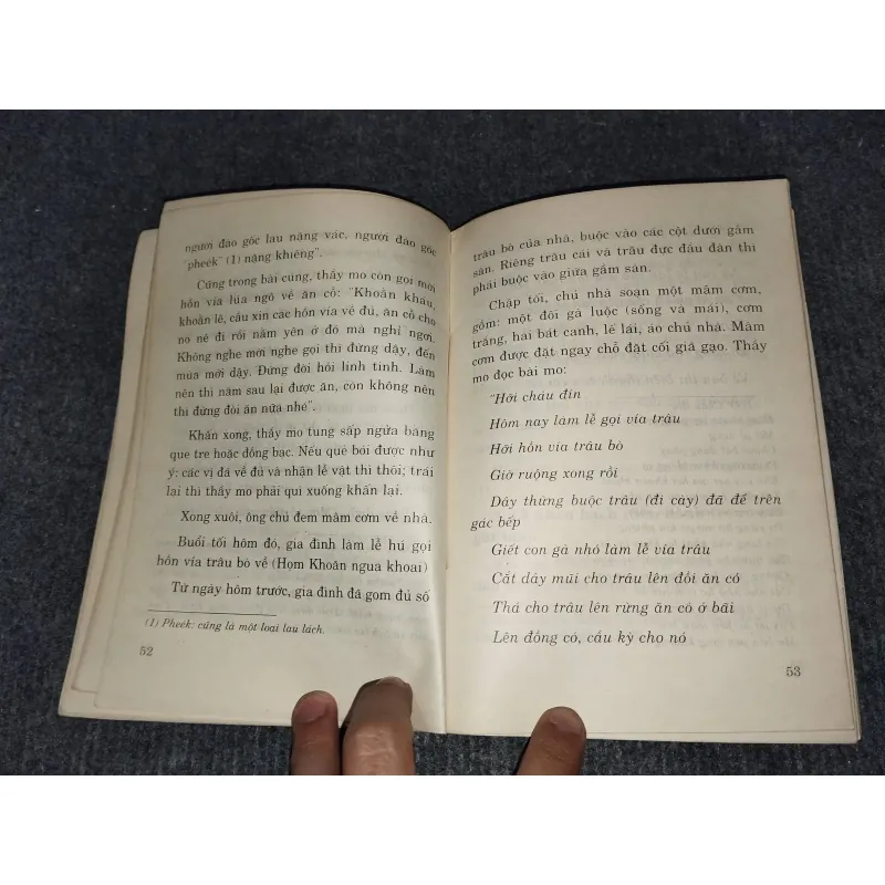 LỄ HỘI CẦU MÙA CỦA NGƯỜI THÁI Ở TÂY BẮC VIỆT NAM 992525