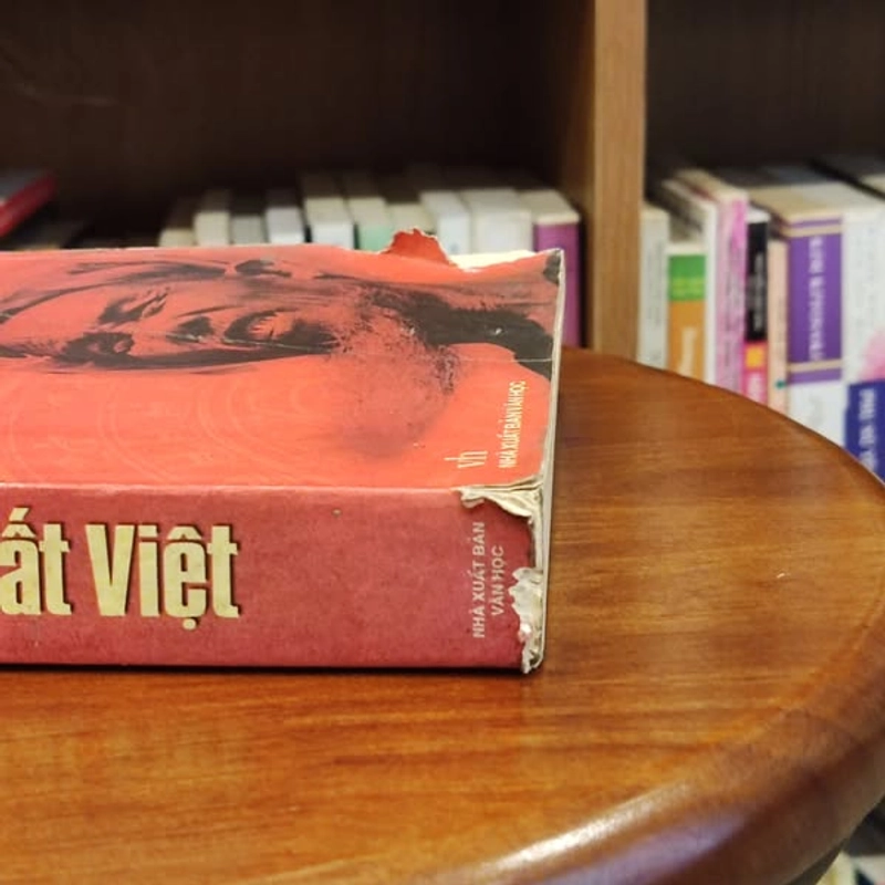 Người Việt đất Việt - Toan Ánh, Cửu Long Giang 460174