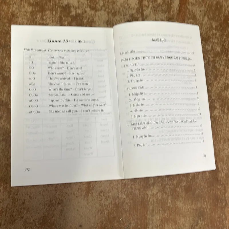 ENGLISH GRAMMAR IN USE - CẨM NANG NGỮ ÂM TIẾNG ANH PHỔ THÔNG 698408