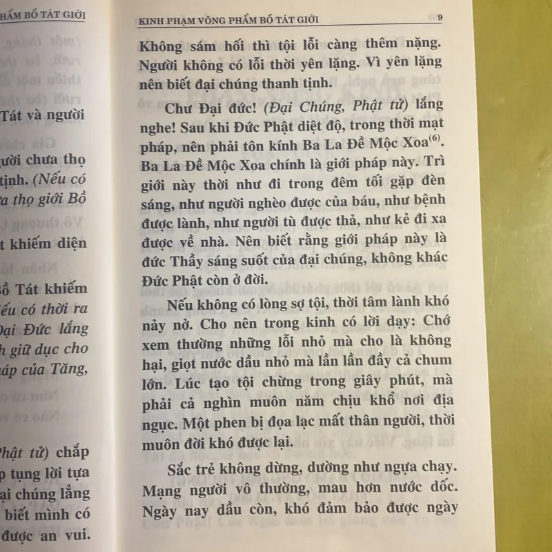 Kinh Phạm Võng Bồ Tát Giới - HT Thích Trí Tịnh dịch 603777