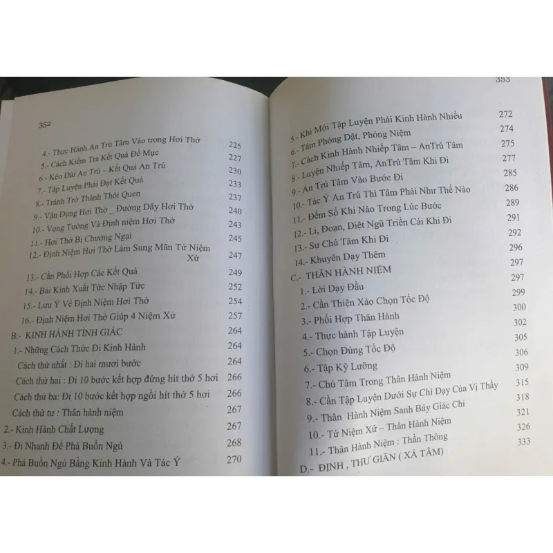 Bậc Ba Minh Dạy Luyện Tĩnh Giác - Trửơng Lão Thích Thông Lạc 697448