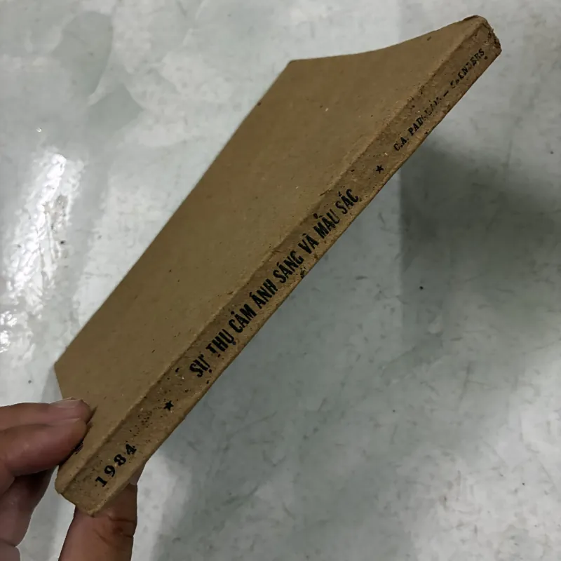 Sự thụ cảm ánh sáng và màu sắc 1025171