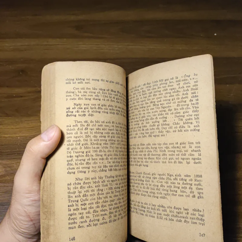 Các Con Vật Trên Rừng Dưới Biển - Đoàn Giỏi 1022201