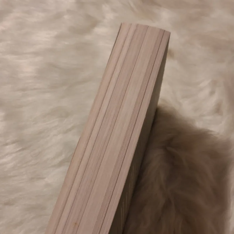 Hanya Yanagihara - A Little Life 780056