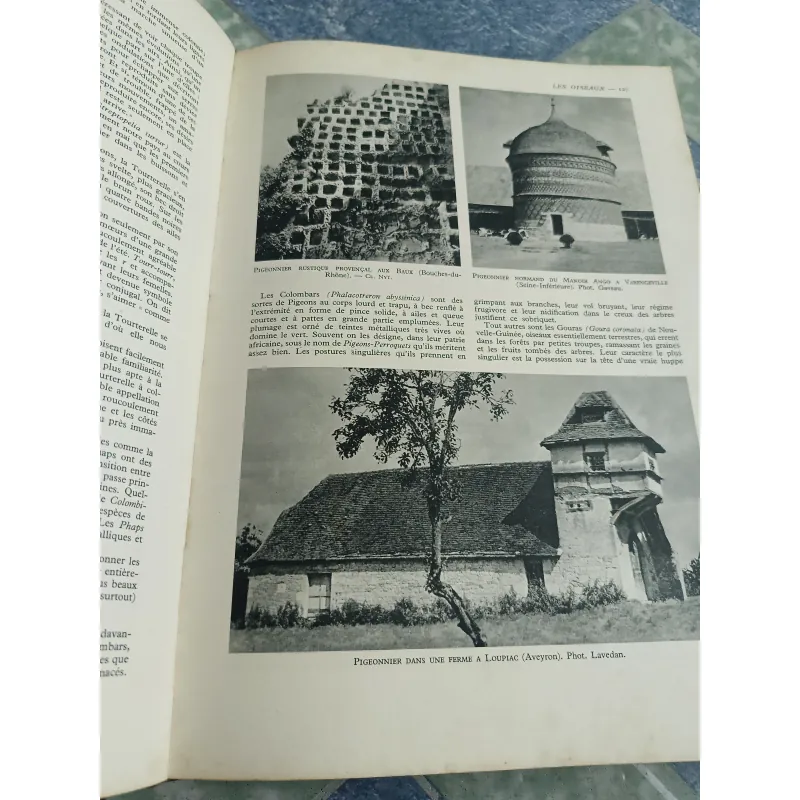 La vie des animaux - Larousse 590350